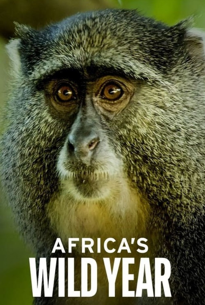  سریال سال حیات وحش آفریقا زمستان