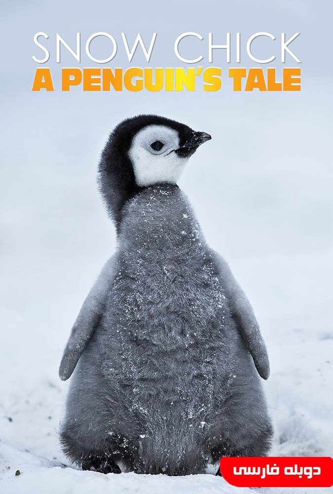 جوجه برفی : داستان یک پنگوئن